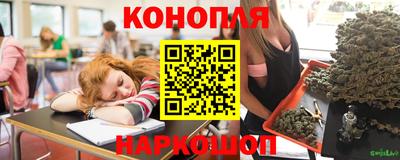 сатива Обнинск