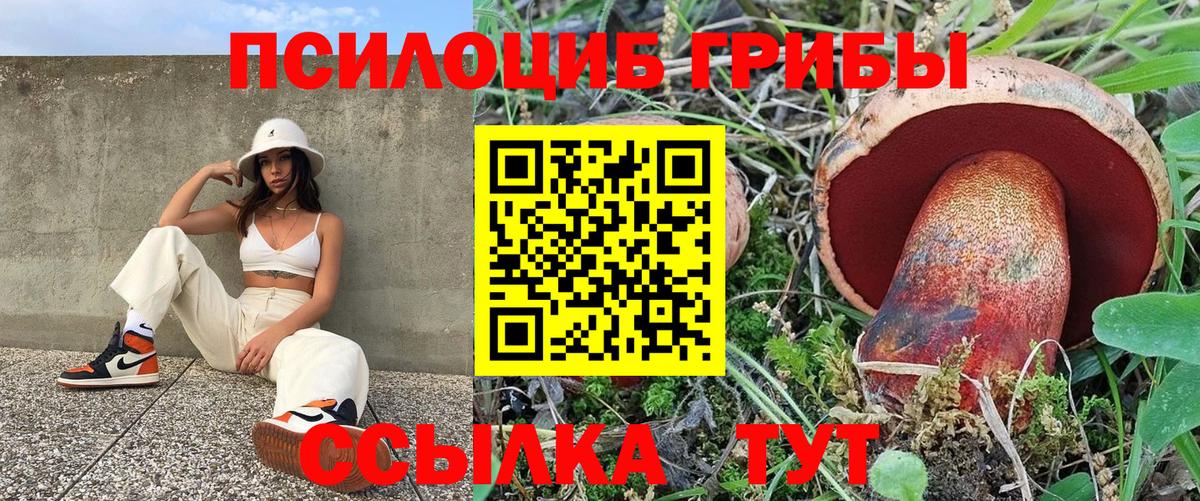 Псилоцибиновые грибы мухоморы Соликамск